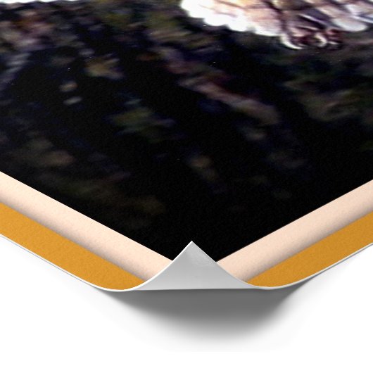 Barschüssel in Mittelflug Poster (Ecke)