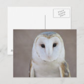 Barschüssel Postkarte (Vorne/Hinten)