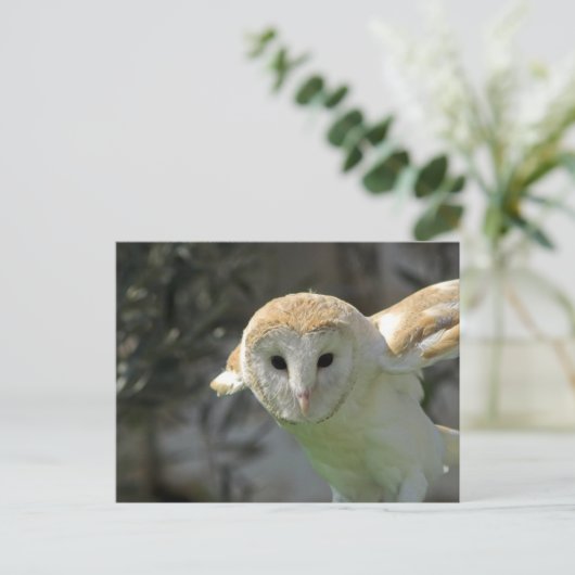 Barschüssel Postkarte (Stehend Vorderseite)