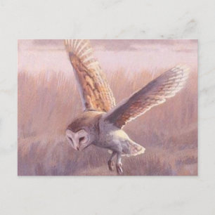 Barschüssel Postkarte