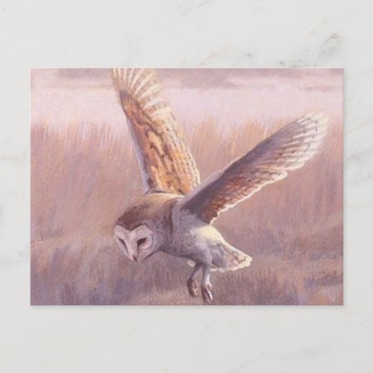 Barschüssel Postkarte (Vorderseite)