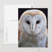 Barschüssel Postkarte (Vorne/Hinten)