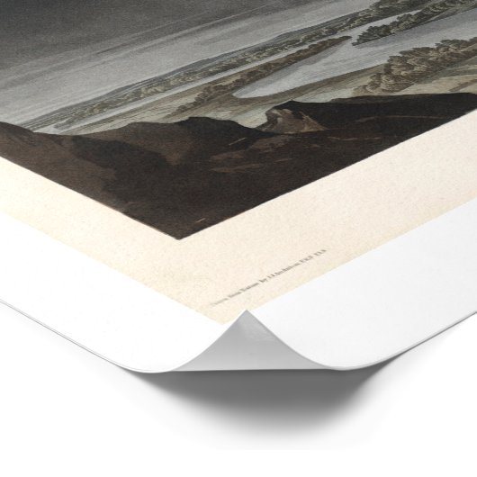 Barschüssel von Audubon Poster (Ecke)