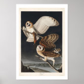 Barschüssel von Audubon Poster (Vorne)