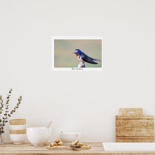 Barswallow Bird Foto Poster (Küche)