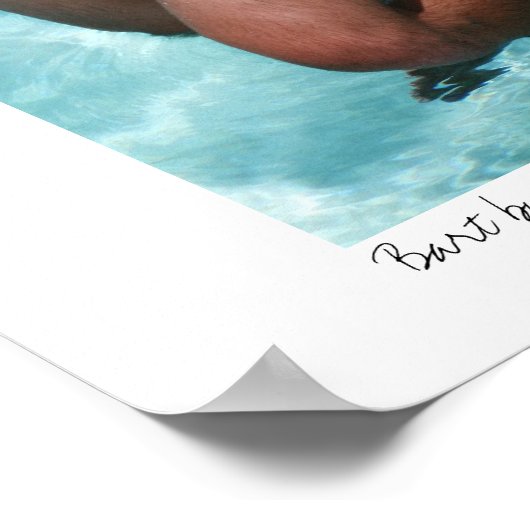 Bart-4771, Bart by the Pool, Lee Vandergrift Poster (Ecke)