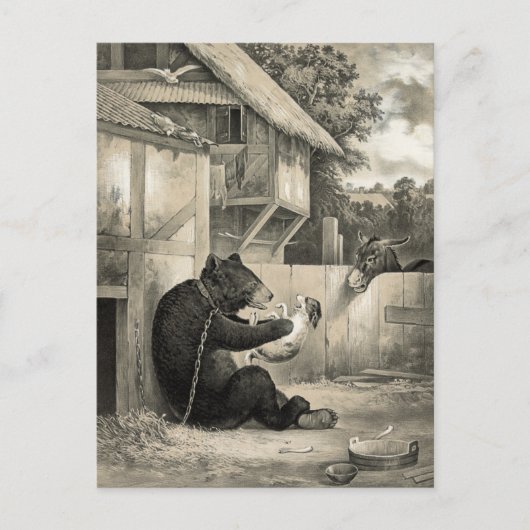 Bart - Bär, Hund und Esel Postkarte (Vorderseite)