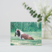 Bart die Basset Hound Postkarte 3 (Stehend Vorderseite)