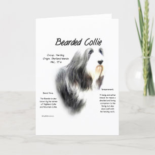 Barta Collie History; Liebe Barted Colliese Feiertagskarte