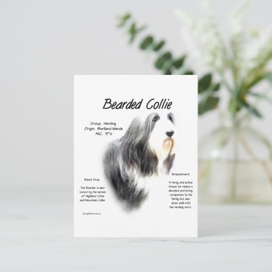 Barta Collie History; Liebe Barted Colliese Postkarte (Stehend Vorderseite)