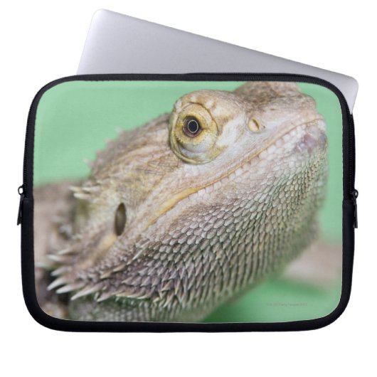 Bartagame 2 laptopschutzhülle (Vorderseite)