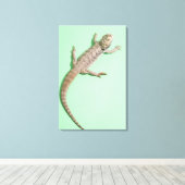 Bartagame 2 leinwanddruck (Insitu (Holzboden))