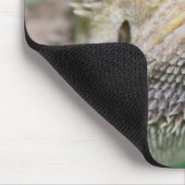 Bartagame 2 mousepad (Ecke)