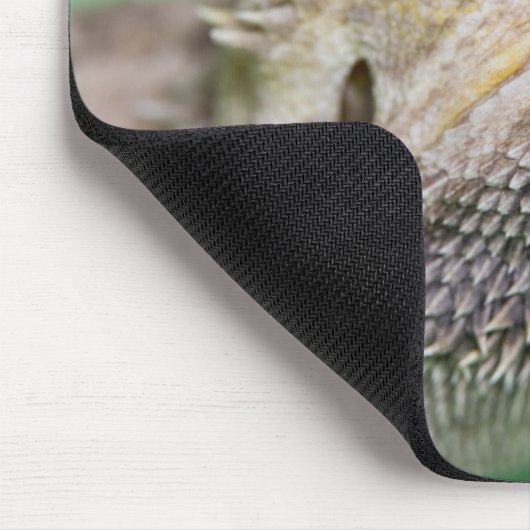 Bartagame 2 mousepad (Ecke)