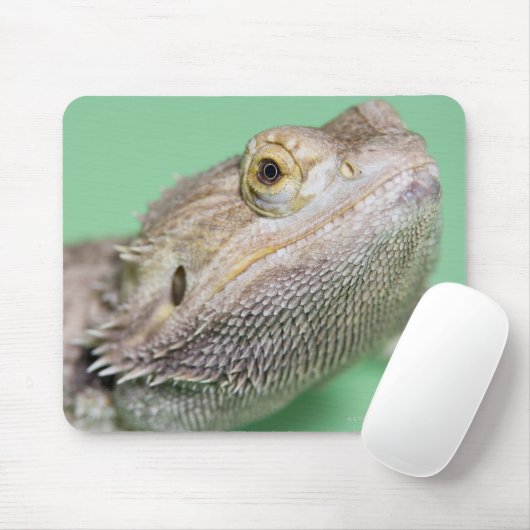 Bartagame 2 mousepad (Mit Mouse)