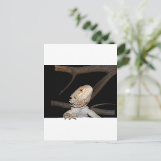 Bartagame 2 postkarte (Stehend Vorderseite)