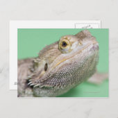 Bartagame 2 postkarte (Vorne/Hinten)