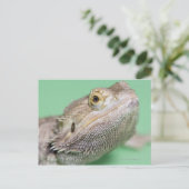 Bartagame 2 postkarte (Stehend Vorderseite)