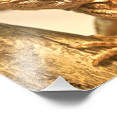 Bartagame Fotodruck (Ecke)