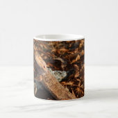 Bartagame Kaffeetasse (Mittel)