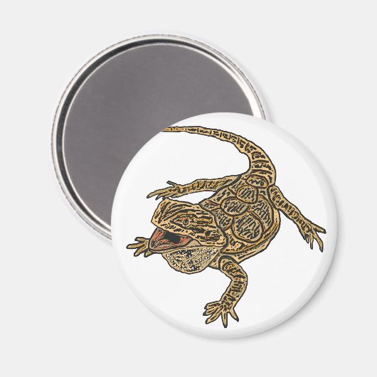 Bartagame Magnet (Vorderseite/Rückseite)