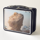 Bartagame Metall Brotdose (Vorderseite)