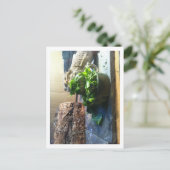 Bartagame mit Salat Postkarte (Stehend Vorderseite)