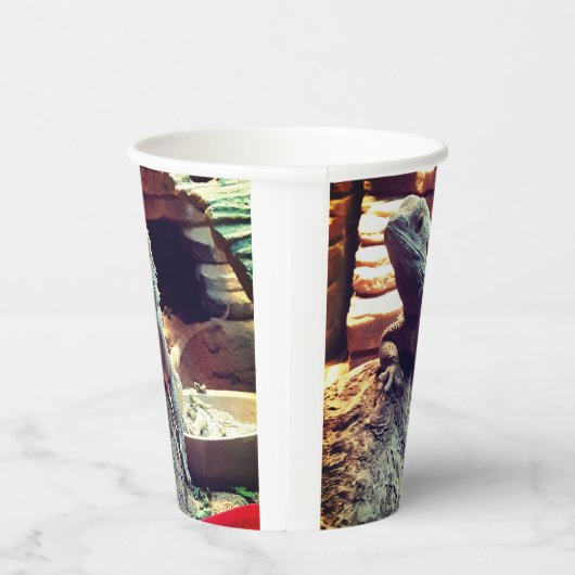 Bartagame Pappbecher (Rechts)