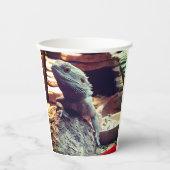 Bartagame Pappbecher (Vorderseite)