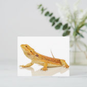 Bartagame Postkarte (Stehend Vorderseite)