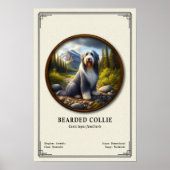 Bartcollie-Zoologie-Serie Poster (Vorne)