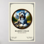 Bartcollie-Zoologie-Serie Poster (Vorne)
