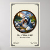 Bartcollie-Zoologie-Serie Poster (Vorne)