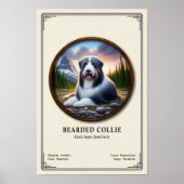 Bartcollie-Zoologie-Serie Poster (Vorne)