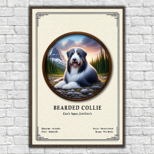 Bartcollie-Zoologie-Serie Poster