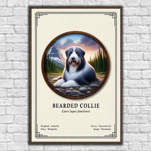 Bartcollie-Zoologie-Serie Poster