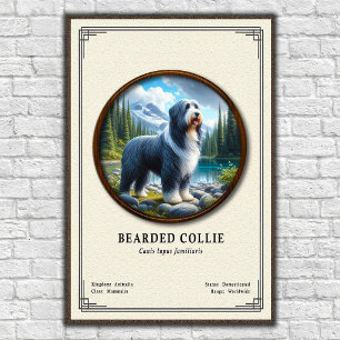 Bartcollie-Zoologie-Serie Poster