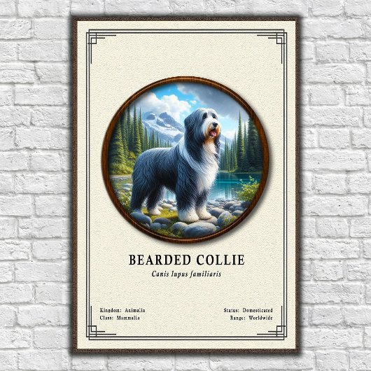 Bartcollie-Zoologie-Serie Poster