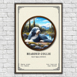 Bartcollie-Zoologie-Serie Poster