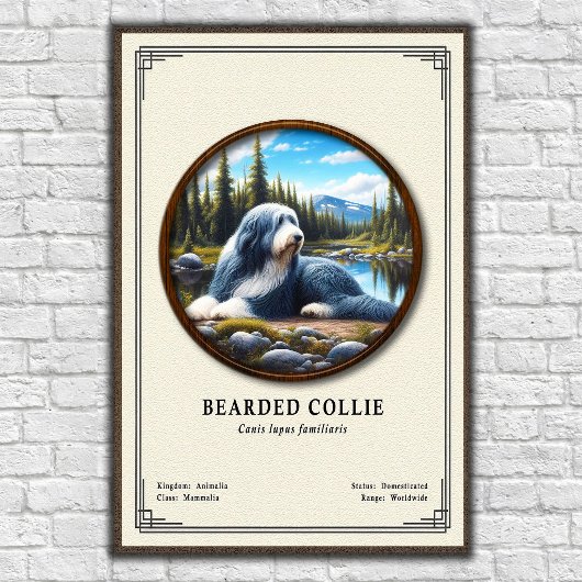 Bartcollie-Zoologie-Serie Poster