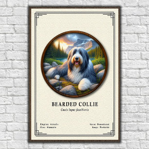 Bartcollie-Zoologie-Serie Poster