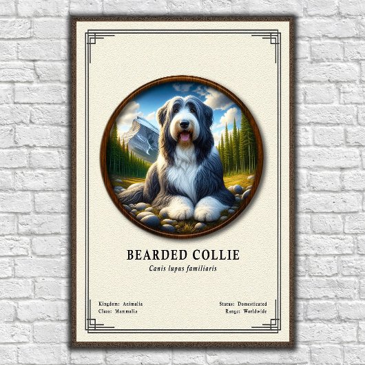 Bartcollie-Zoologie-Serie Poster