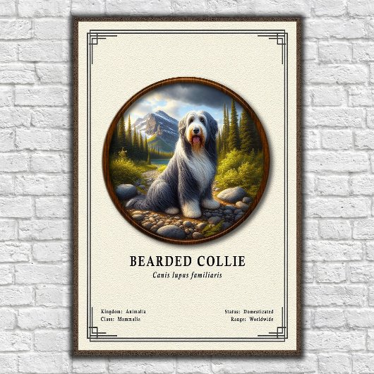 Bartcollie-Zoologie-Serie Poster