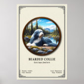 Bartcollie-Zoologie-Serie Poster (Vorne)