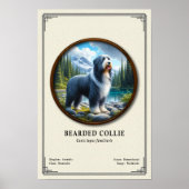 Bartcollie-Zoologie-Serie Poster (Vorne)