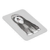 Bartded Collie Cartoon Dog Magnet (Rechte Seite)
