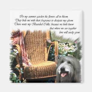 Bartded Collie Kunstgeschenke Magnet