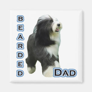 Bartded Collie Vater 4 - Magnet