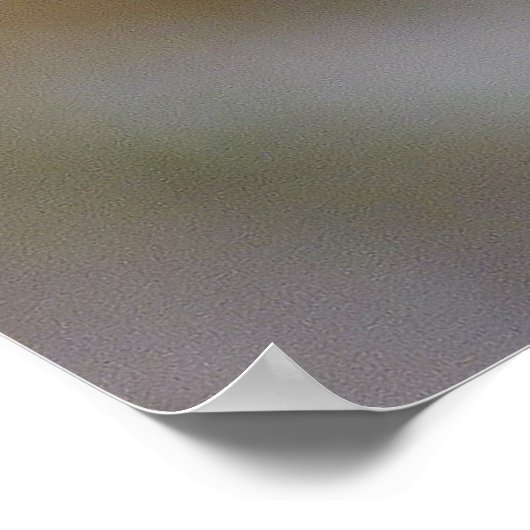 Bartded Heron Poster (Ecke)