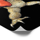 Bartdrache als Boxer-Funny-Boxen 2 Poster (Ecke)